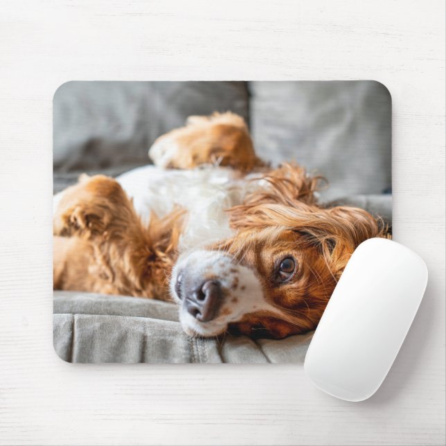 Cutest Baby Animals | Cocker Spaniel Mouse Pad (With Mouse)