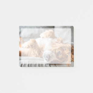 Cutest Baby Animals Cocker Spaniel Post-it Notes