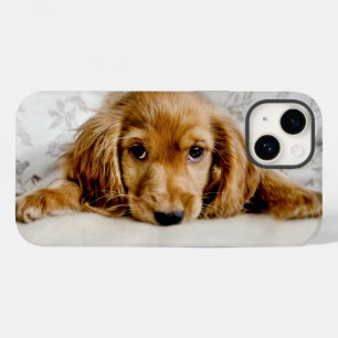 Cutest Baby Animals   Cocker Spaniel Puppy Case-Mate iPhone 14 Case