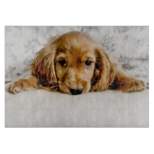 Cutest Baby Animals   Cocker Spaniel Puppy Cutting Board