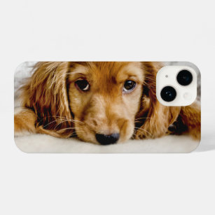 Cutest Baby Animals   Cocker Spaniel Puppy iPhone 14 Case