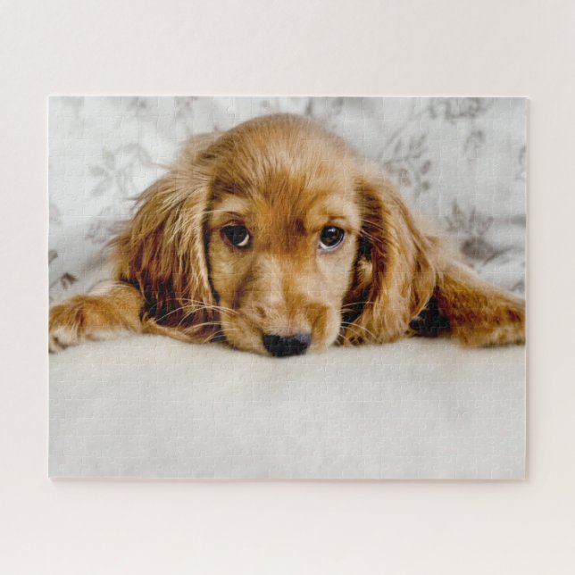 Cutest Baby Animals | Cocker Spaniel Puppy Jigsaw Puzzle (Horizontal)