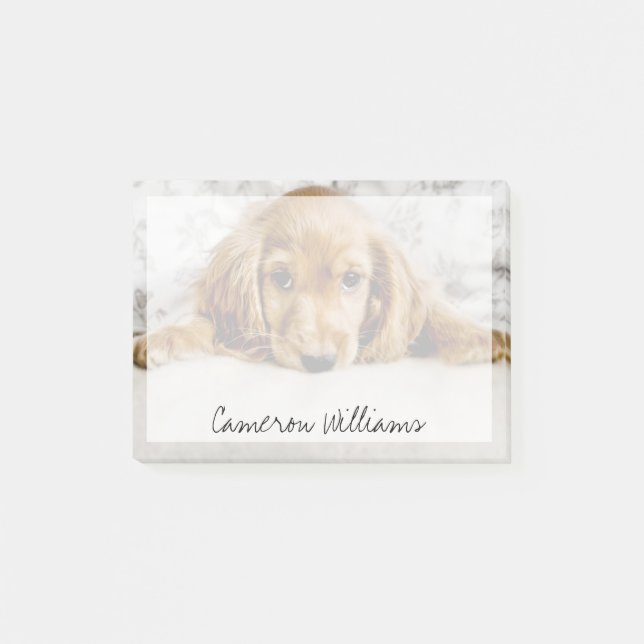 Cutest Baby Animals | Cocker Spaniel Puppy Post-it Notes (Front)