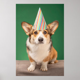 Cutest Baby Animals   Corgi Birthday Puppy Poster