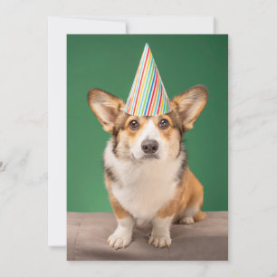 Cutest Baby Animals   Corgi Birthday Puppy Thank You Card