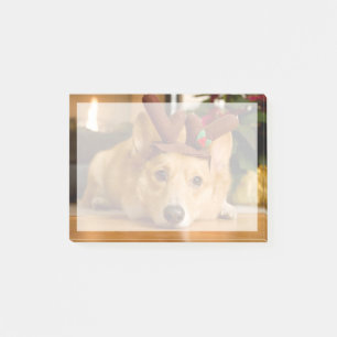 Cutest Baby Animals   Corgi Christmas Reindeer Post-it Notes