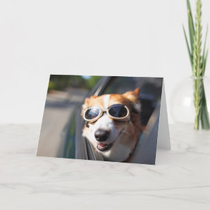 Cutest Baby Animals   Corgi Goggles in the Car Card