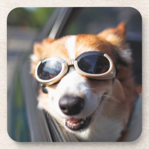 Cutest Baby Animals Corgi Goggles in the Car Coaster