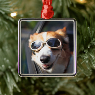 Cutest Baby Animals   Corgi Goggles in the Car Metal Ornament
