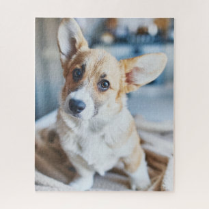 Cutest Baby Animals   Corgi Head Tilt Jigsaw Puzzle
