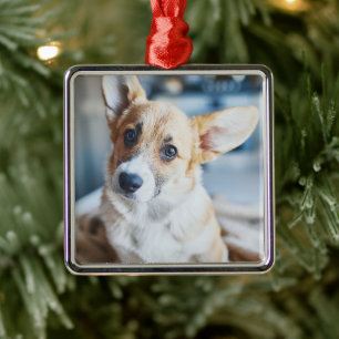 Cutest Baby Animals Corgi Head Tilt Metal Ornament