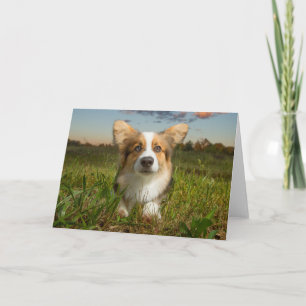 Cutest Baby Animals Corgi in Cloudy Yard Card
