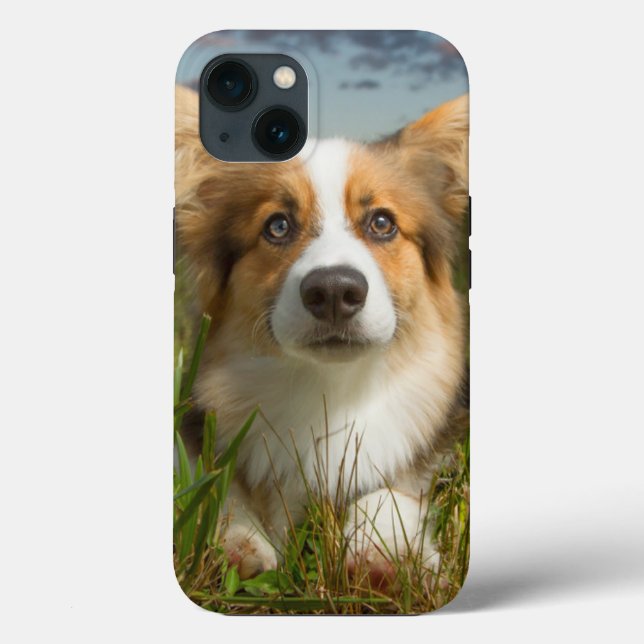 Cutest Baby Animals | Corgi in Cloudy Yard Case-Mate iPhone Case (Back)
