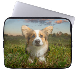 Cutest Baby Animals Corgi in Cloudy Yard Laptop Sleeve