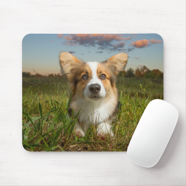 Cutest Baby Animals | Corgi in Cloudy Yard Mouse Pad (With Mouse)