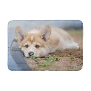 Cutest Baby Animals   Corgi Laying in the Yard Bath Mat