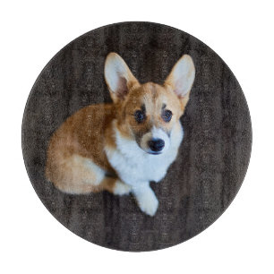 Cutest Baby Animals Corgi Looking Up Cutting Board
