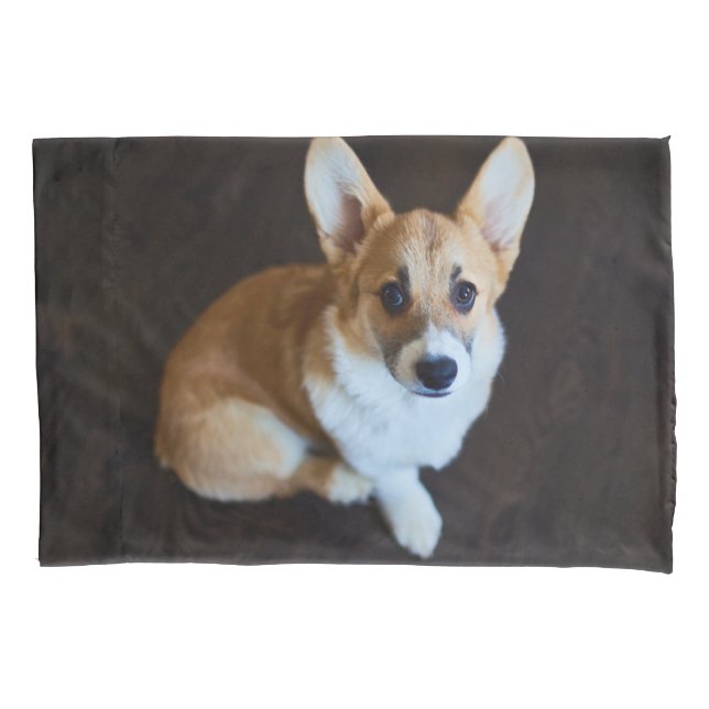 Cutest Baby Animals | Corgi Looking Up Pillowcase (Front)