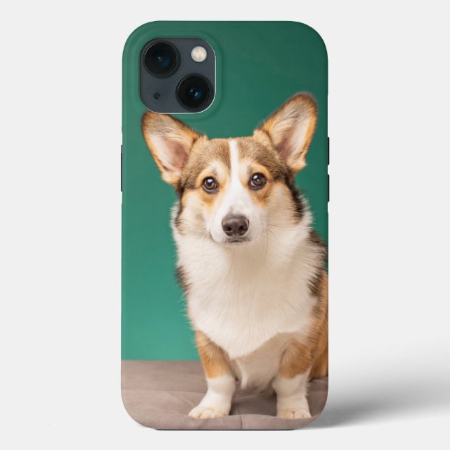 Cutest Baby Animals | Corgi on Teal Case-Mate iPhone Case (Back)