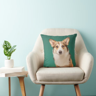 Cutest Baby Animals   Corgi on Teal Cushion