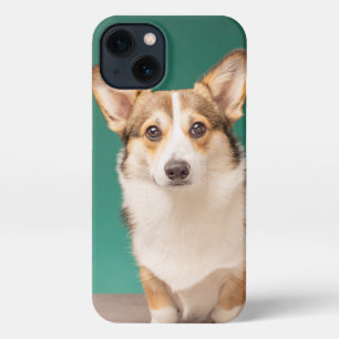 Cutest Baby Animals   Corgi on Teal iPhone 13 Case