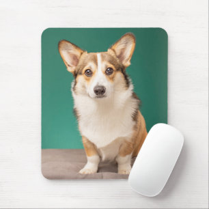 Cutest Baby Animals   Corgi on Teal Mouse Pad