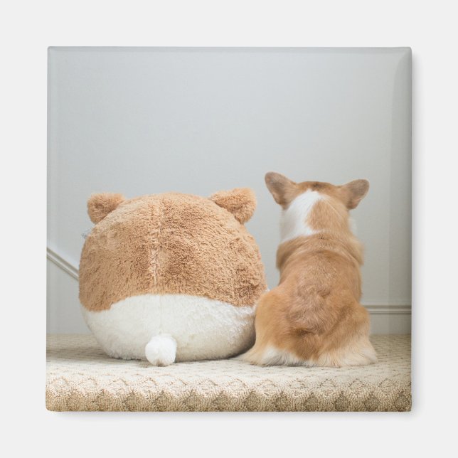 Cutest Baby Animals | Corgi & Plush Puppy Magnet (Front)