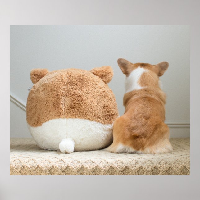 Cutest Baby Animals | Corgi & Plush Puppy Poster (Front)