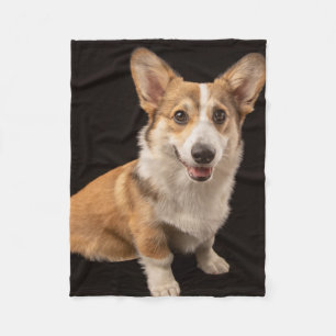 Cutest Baby Animals Corgi Portrait on Black Fleece Blanket