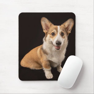 Cutest Baby Animals Corgi Portrait on Black Mouse Pad