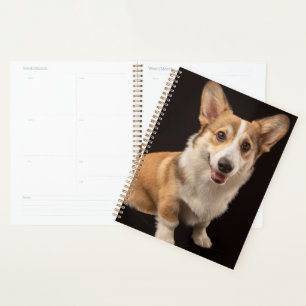 Cutest Baby Animals Corgi Portrait on Black Planner