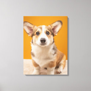 Cutest Baby Animals Corgi Portrait on Orange Canvas Print