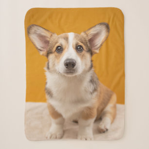 Cutest Baby Animals Corgi Portrait on Orange Sherpa Blanket
