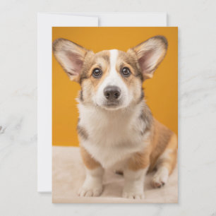 Cutest Baby Animals   Corgi Portrait on Orange Thank You Card