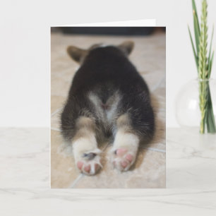 Cutest Baby Animals Corgi Puppy Behind Card