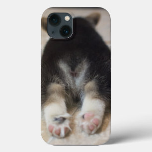 Cutest Baby Animals   Corgi Puppy Behind iPhone 13 Case