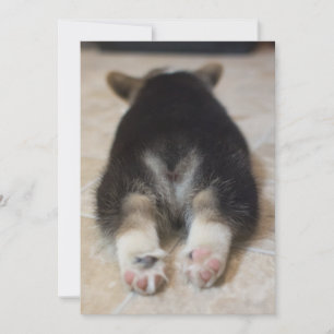 Cutest Baby Animals Corgi Puppy Behind Thank You Card