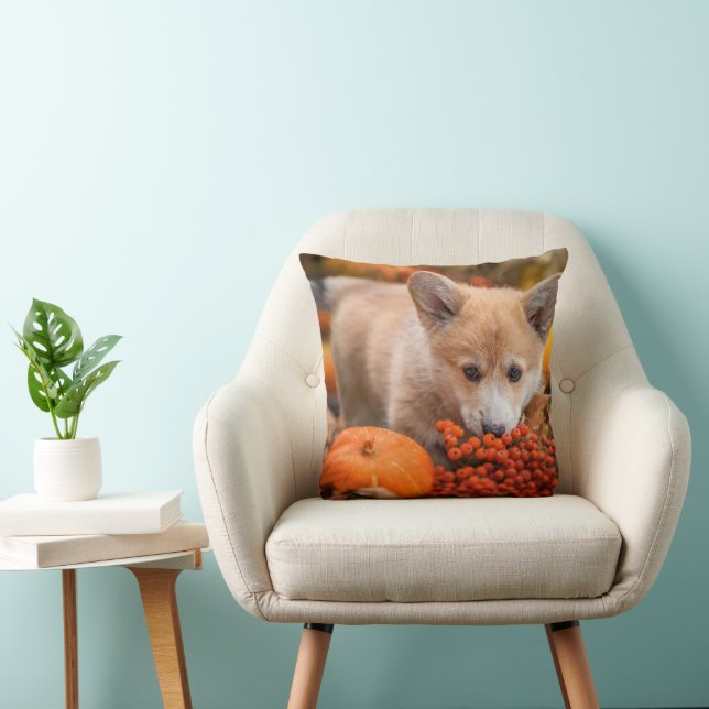 Cutest Baby Animals | Corgi Puppy  in Autumn Cushion (Chair)