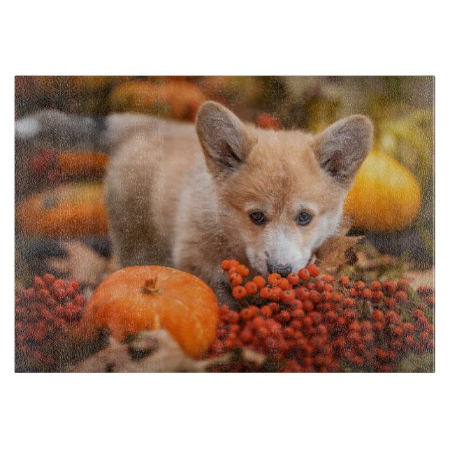 Cutest Baby Animals | Corgi Puppy  in Autumn Cutting Board (Front)