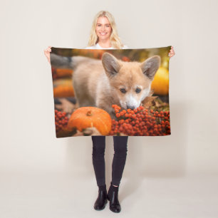 Cutest Baby Animals   Corgi Puppy  in Autumn Fleece Blanket