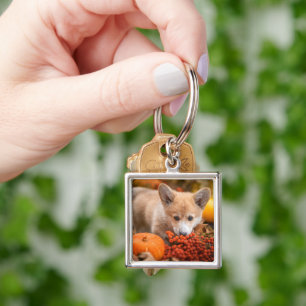 Cutest Baby Animals Corgi Puppy in Autumn Key Ring