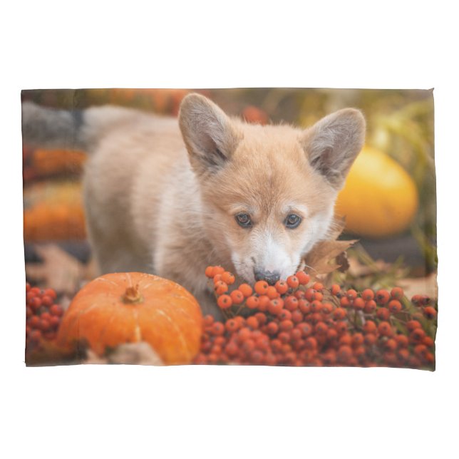 Cutest Baby Animals | Corgi Puppy  in Autumn Pillowcase (Front)