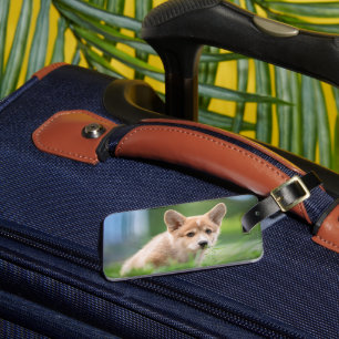 Cutest Baby Animals Corgi Puppy in the Yard Luggage Tag