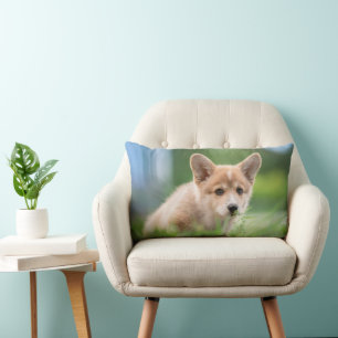 Cutest Baby Animals   Corgi Puppy in the Yard Lumbar Cushion