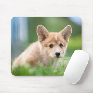 Cutest Baby Animals Corgi Puppy in the Yard Mouse Pad
