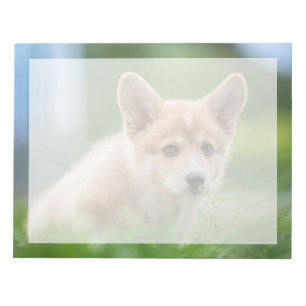 Cutest Baby Animals Corgi Puppy in the Yard Notepad