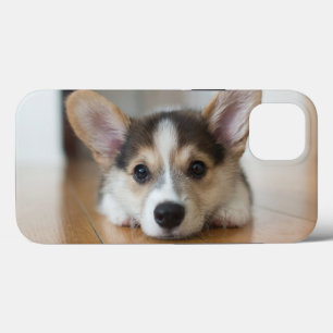 Cutest Baby Animals   Corgi Puppy Looking iPhone 13 Case