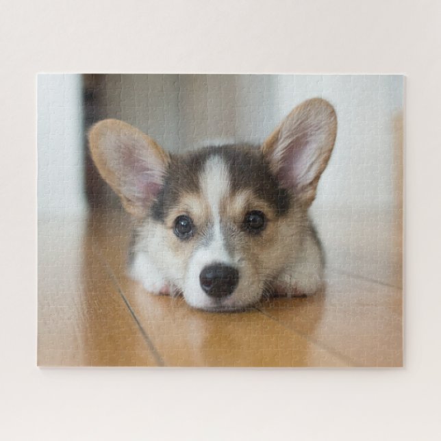 Cutest Baby Animals | Corgi Puppy Looking Jigsaw Puzzle (Horizontal)