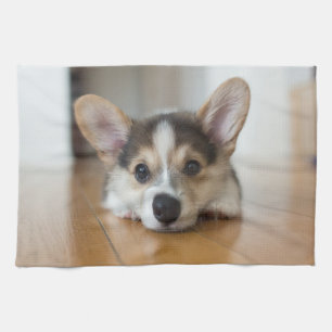 Cutest Baby Animals   Corgi Puppy Looking Tea Towel