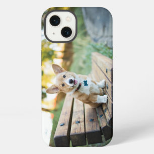 Cutest Baby Animals Corgi Puppy on a Park Bench iPhone 13 Case